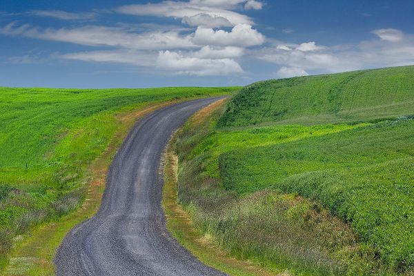 Jones, Adam 아티스트의 Rural road through rolling wheat fields-Palouse region of eastern Washington State작품입니다.